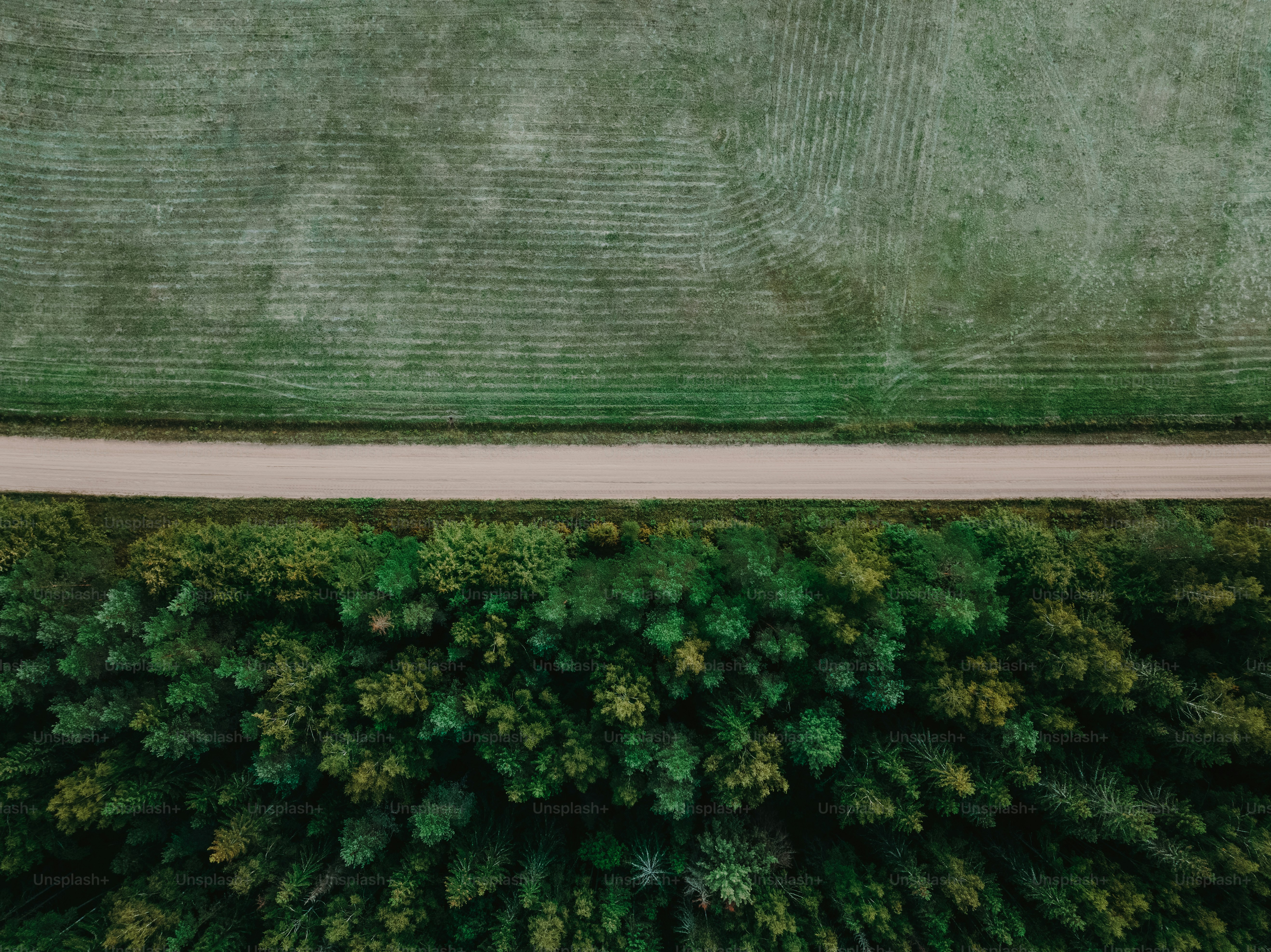 an aerial view of a road in the middle of a forest