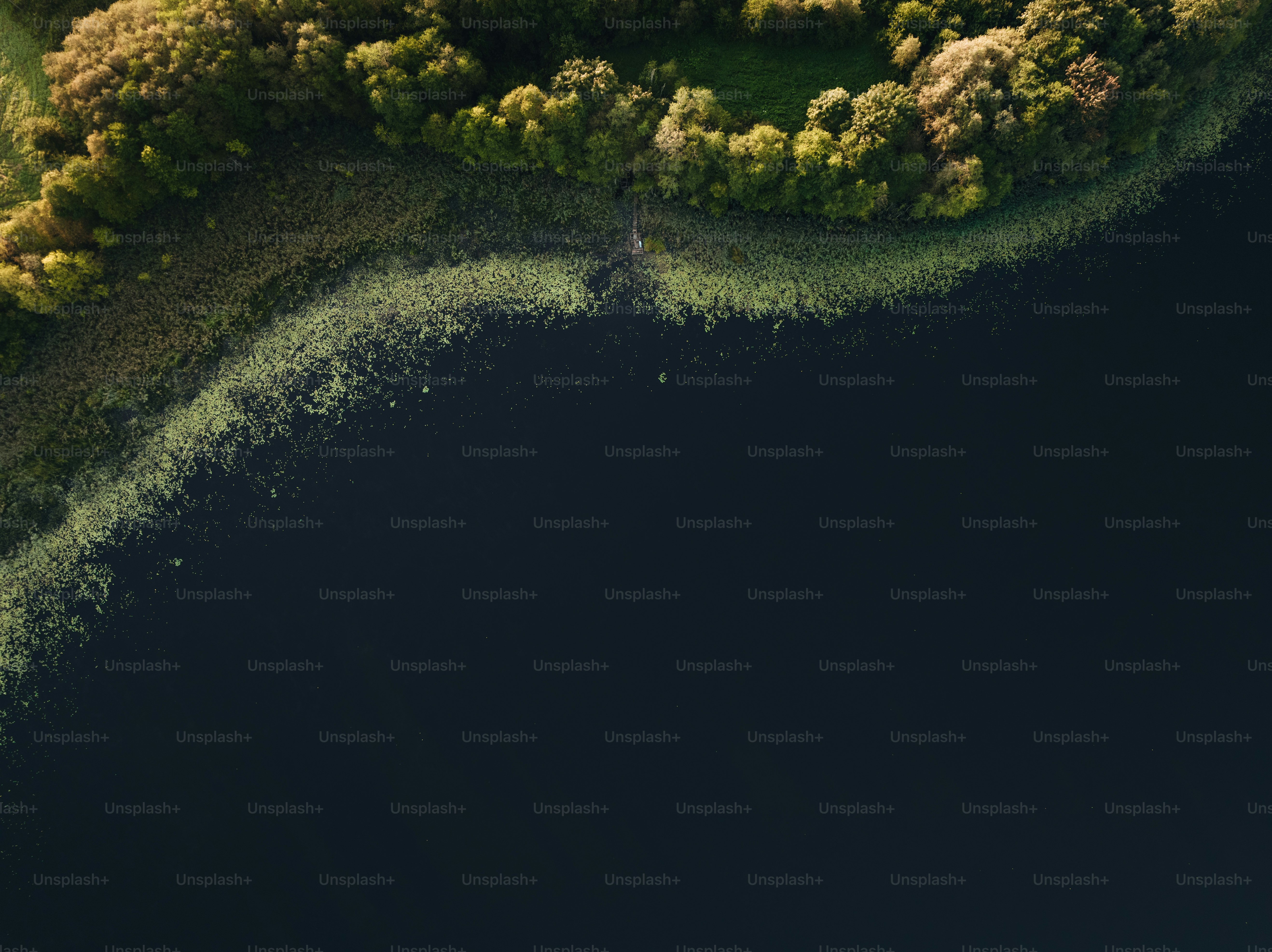 an aerial view of a body of water surrounded by trees