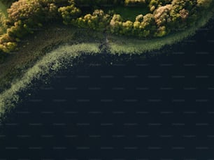 an aerial view of a body of water surrounded by trees