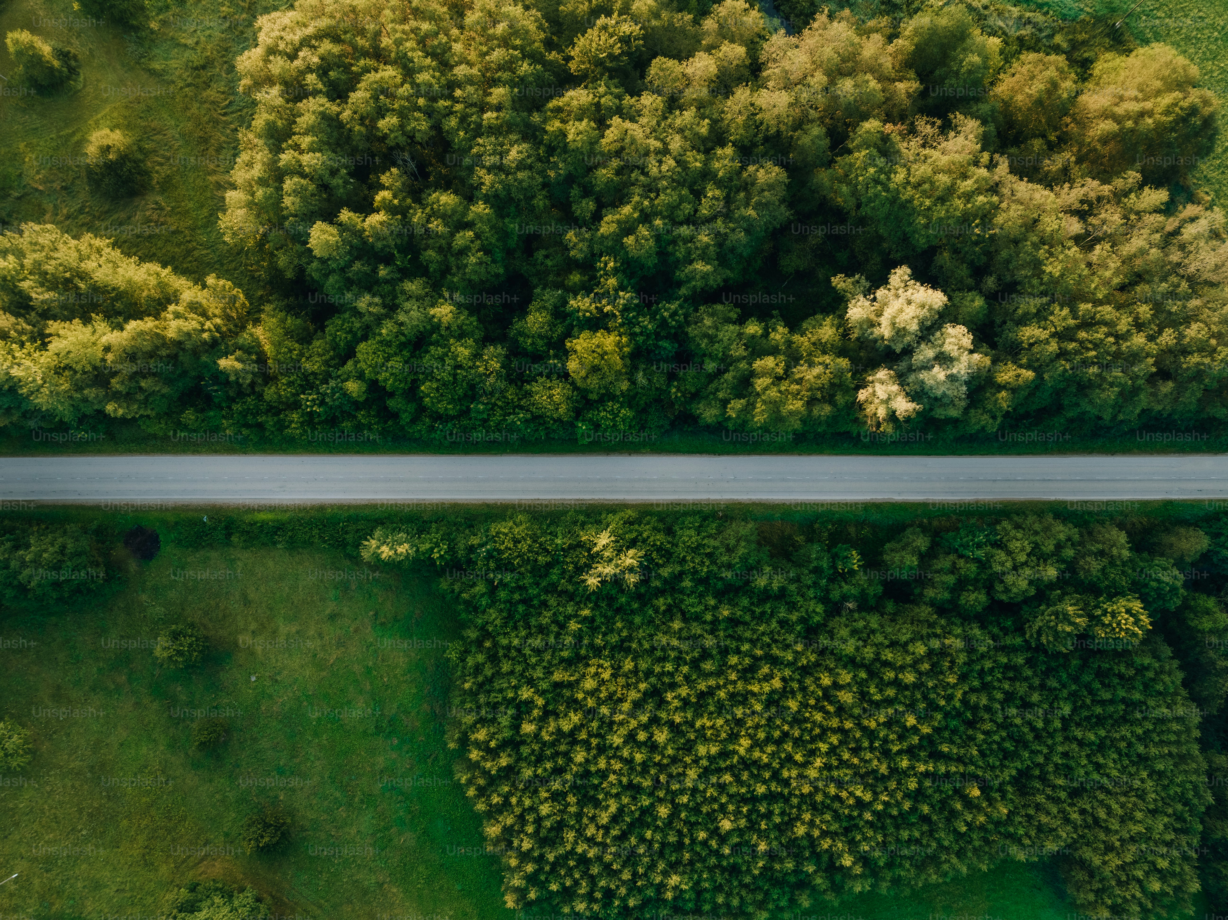 an aerial view of a road surrounded by trees