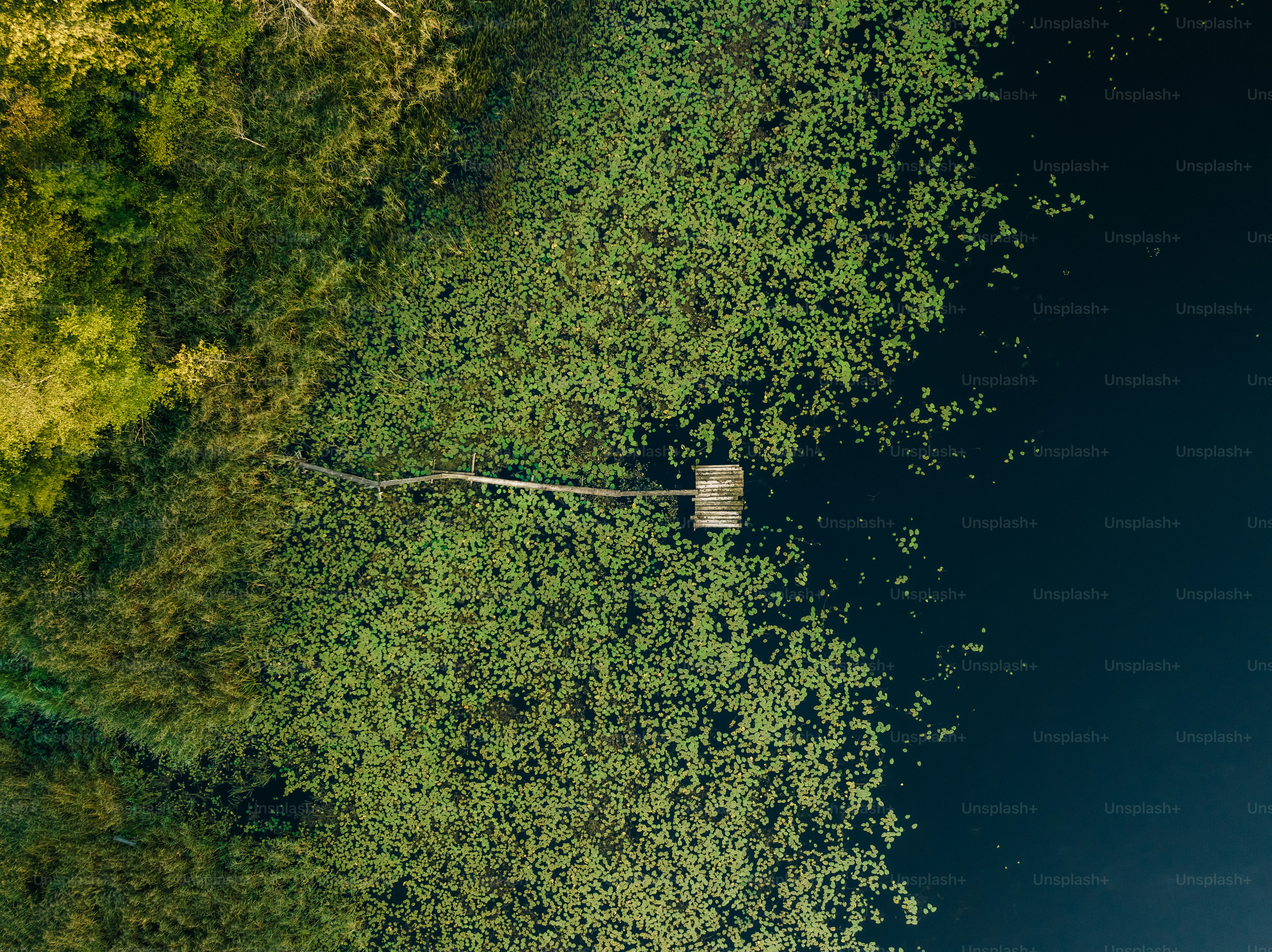 an aerial view of a body of water surrounded by trees