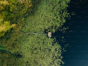 an aerial view of a body of water surrounded by trees