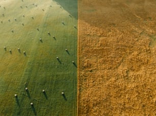uma vista aérea de um campo e um campo de grama