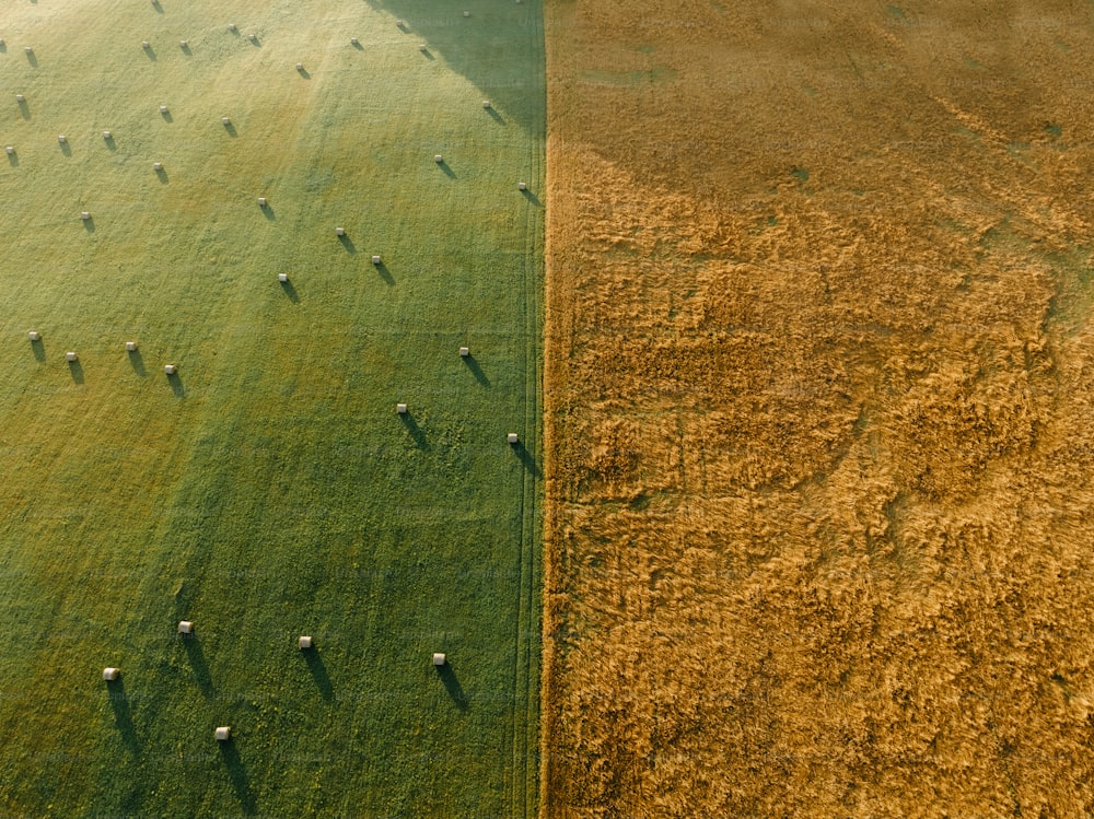 an aerial view of a field and a field of grass