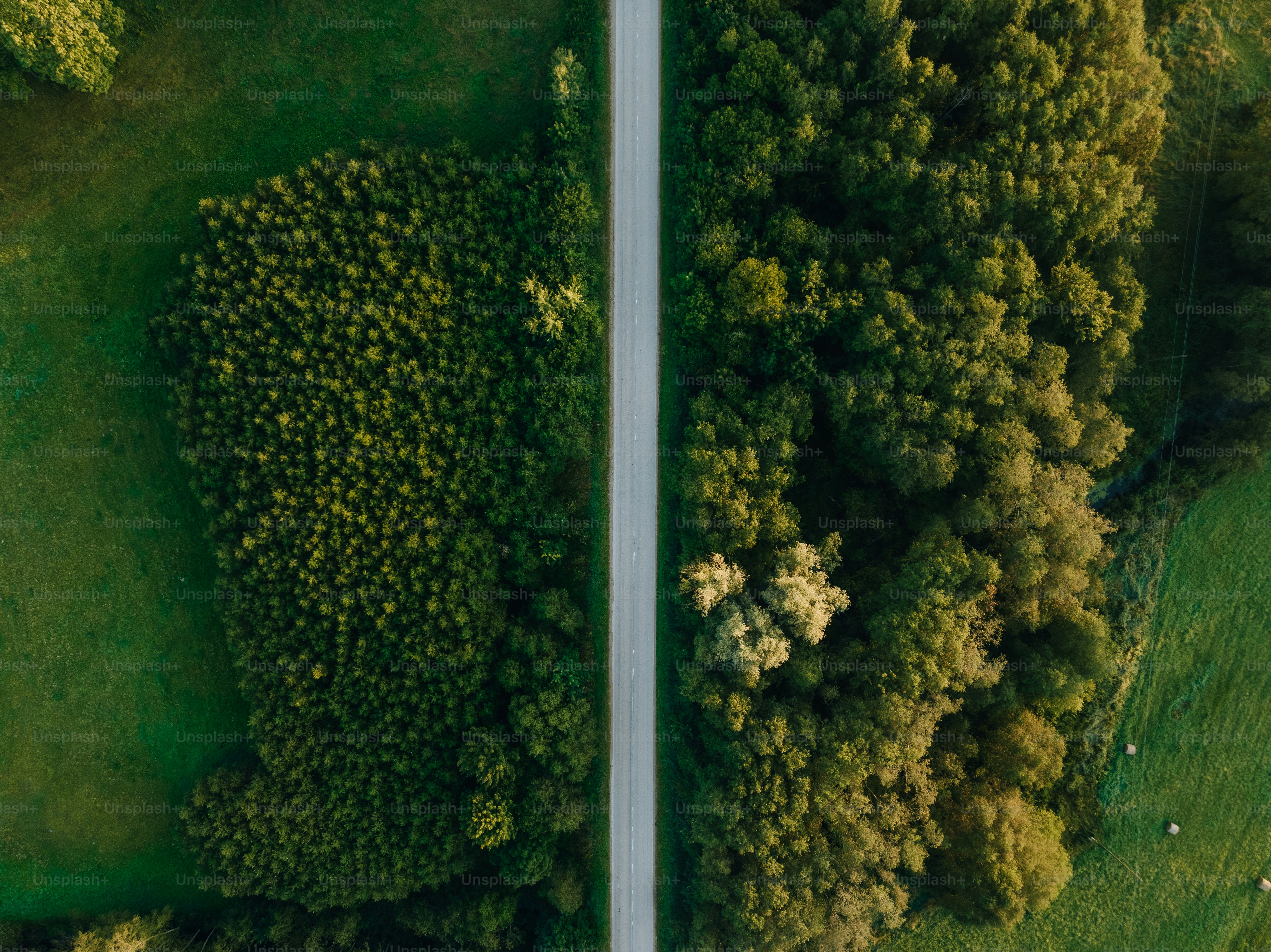 an aerial view of a road surrounded by trees