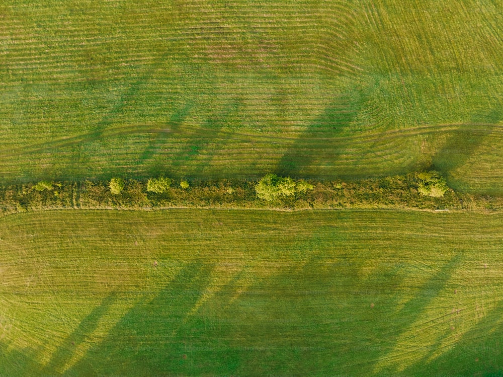 Eine Luftaufnahme einer grünen Wiese mit Bäumen
