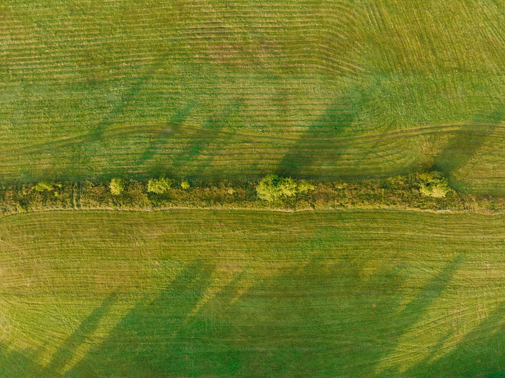 an aerial view of a green field with trees