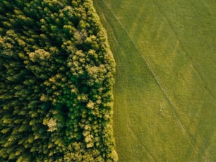 an aerial view of a lush green field