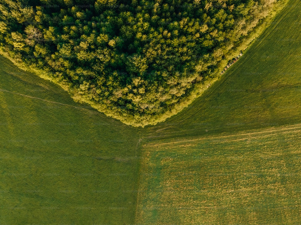 Una vista aérea de un exuberante campo verde