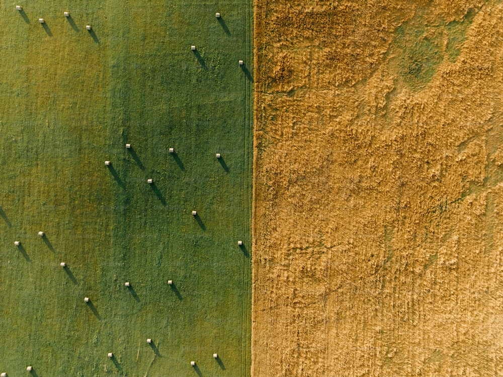 uma vista aérea de um campo com muita grama verde