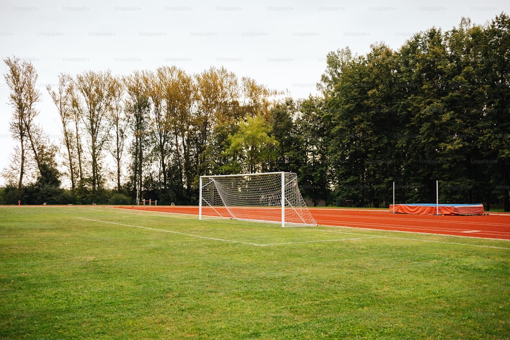 a soccer goal on a field with trees in the background