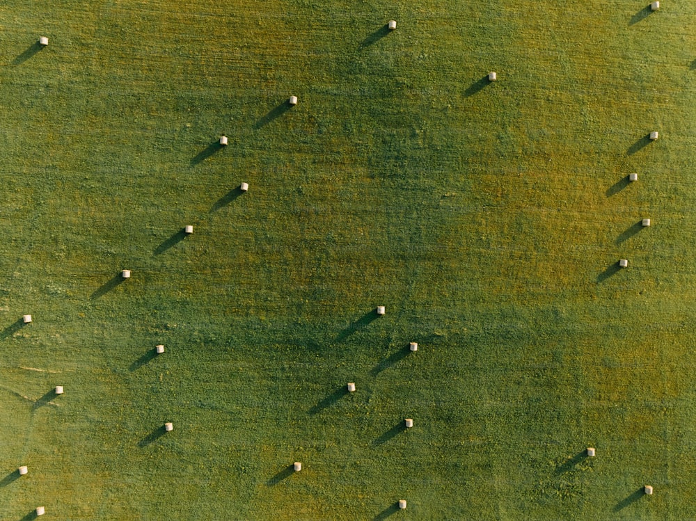 um campo verde com um monte de bolas brancas no meio dele