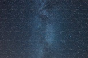 Eine Gruppe von Menschen, die auf einem grasbewachsenen Feld unter einem Nachthimmel stehen