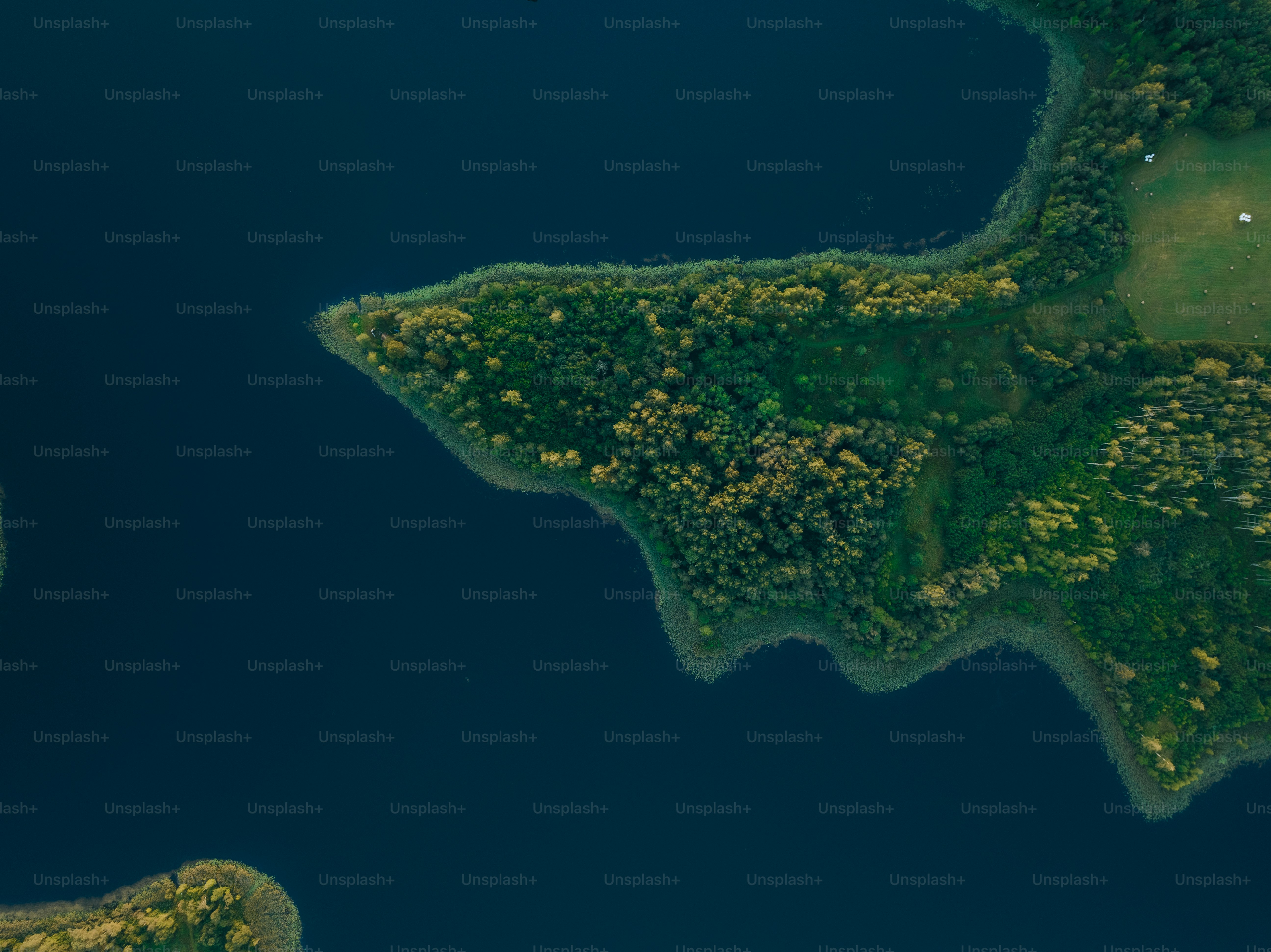 a large body of water surrounded by lush green trees