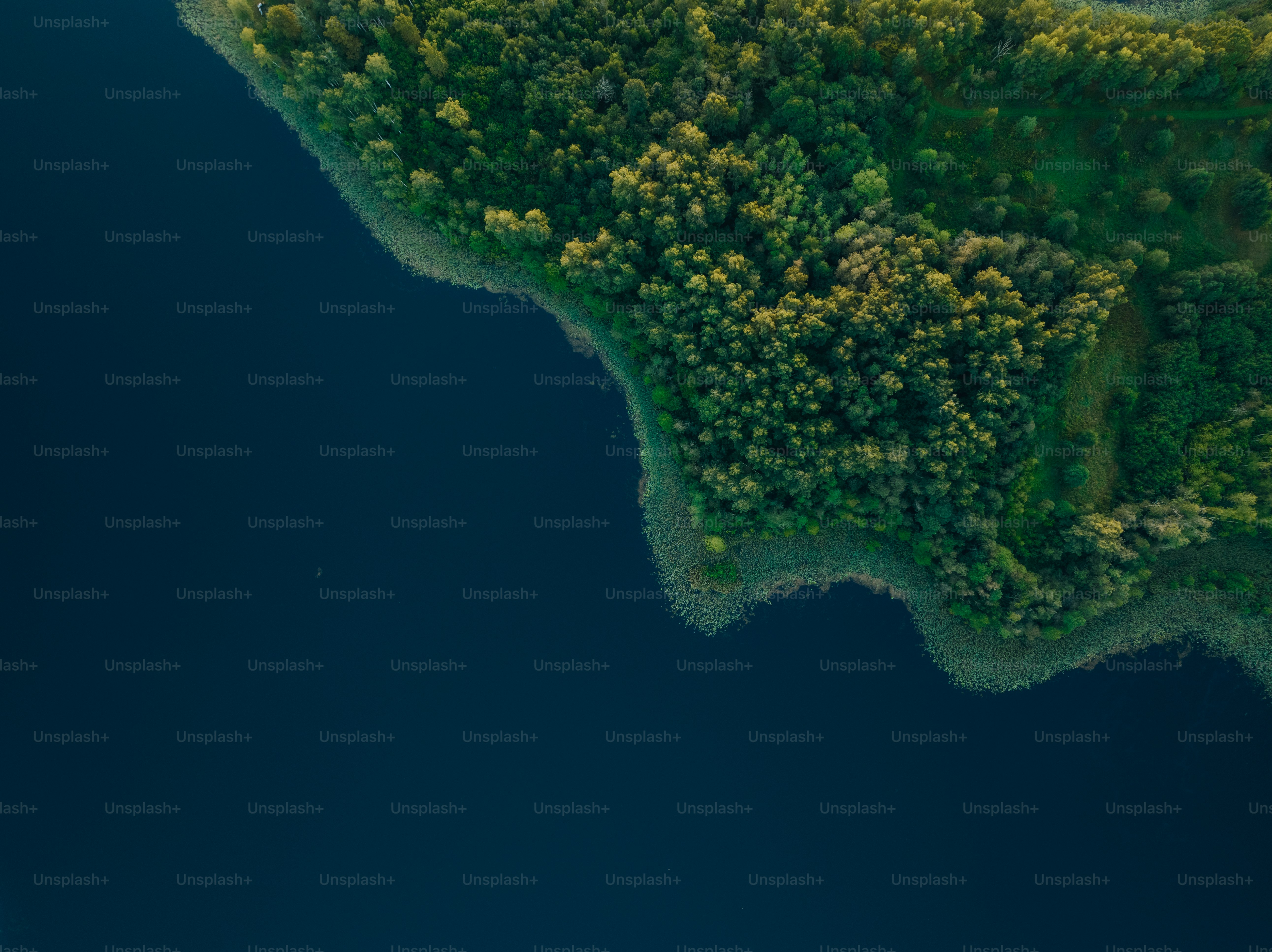 an aerial view of a lake surrounded by trees