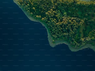 an aerial view of a lake surrounded by trees