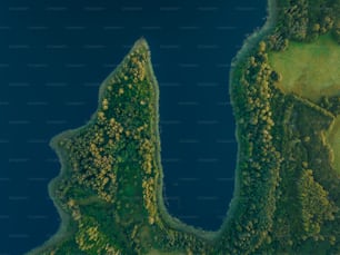 an aerial view of a lake surrounded by trees