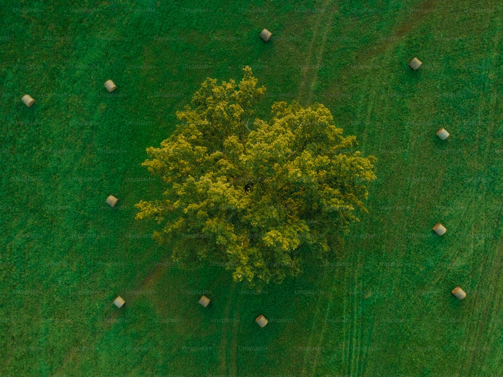 an aerial view of a field with bales of hay and a tree