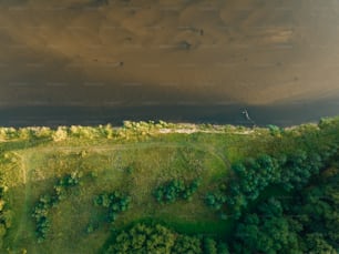 una veduta aerea di una lussureggiante foresta verde