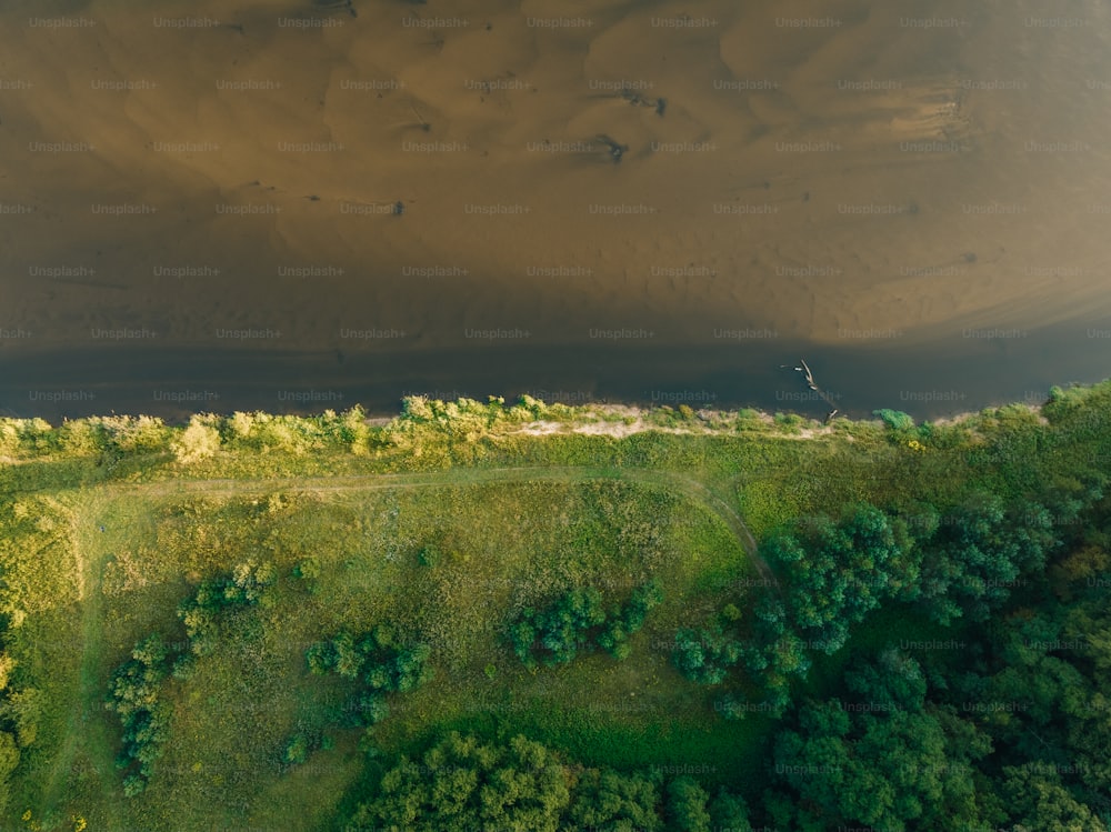 an aerial view of a lush green forest