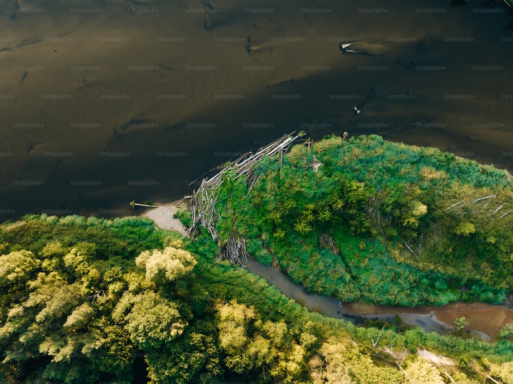 an aerial view of a river surrounded by trees