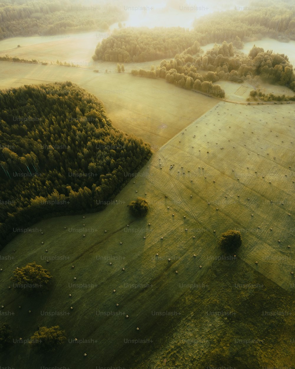 uma vista aérea de um campo verde com árvores
