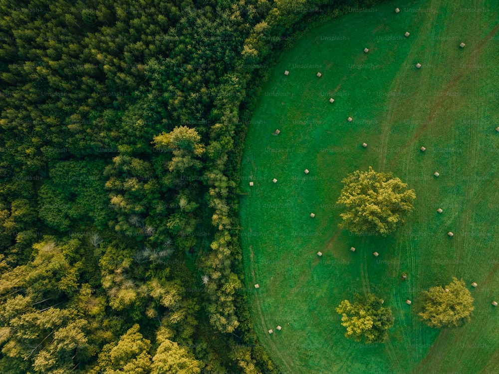 une vue aérienne d’un terrain de golf entouré d’arbres