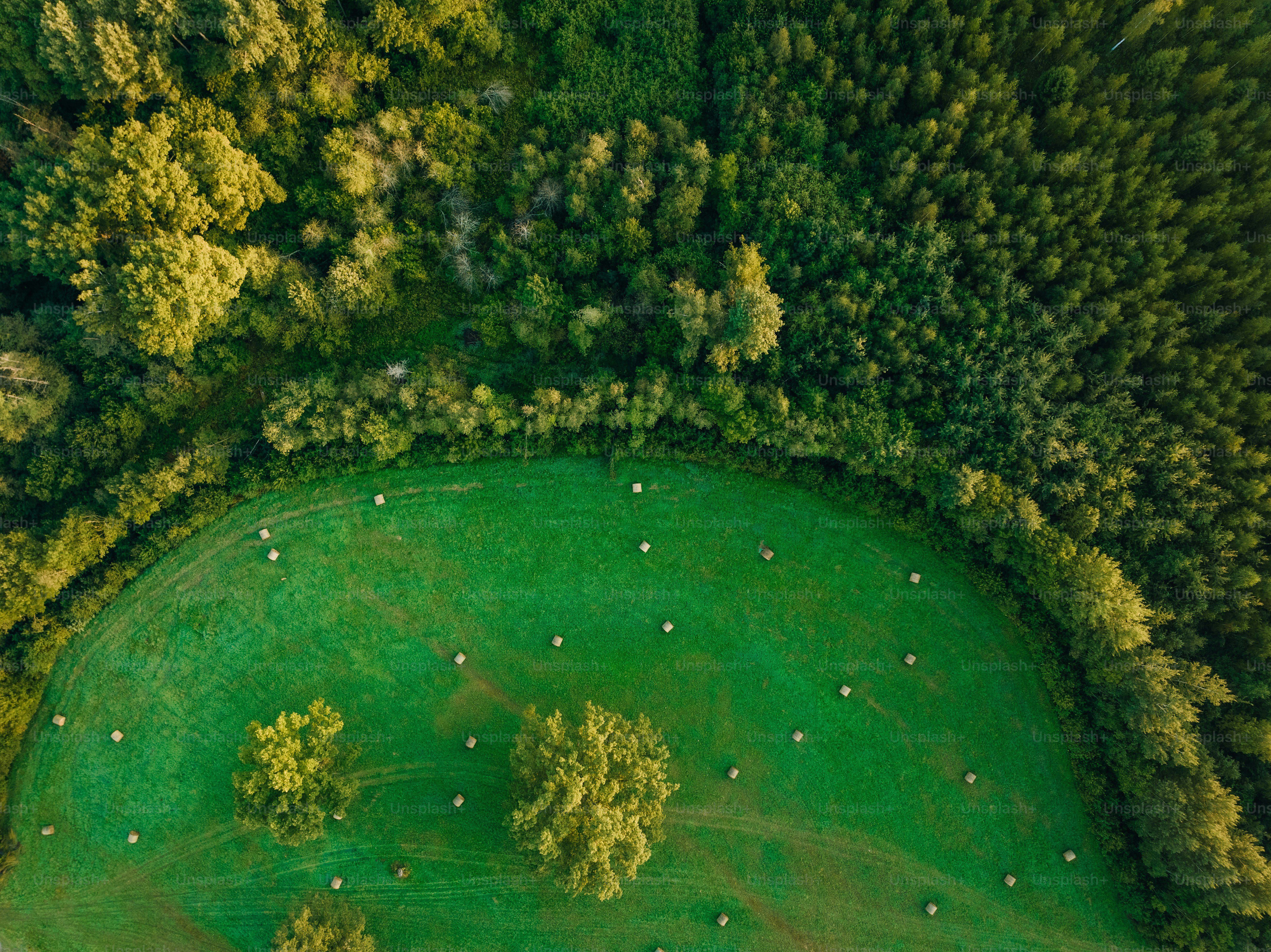 an aerial view of a golf course surrounded by trees