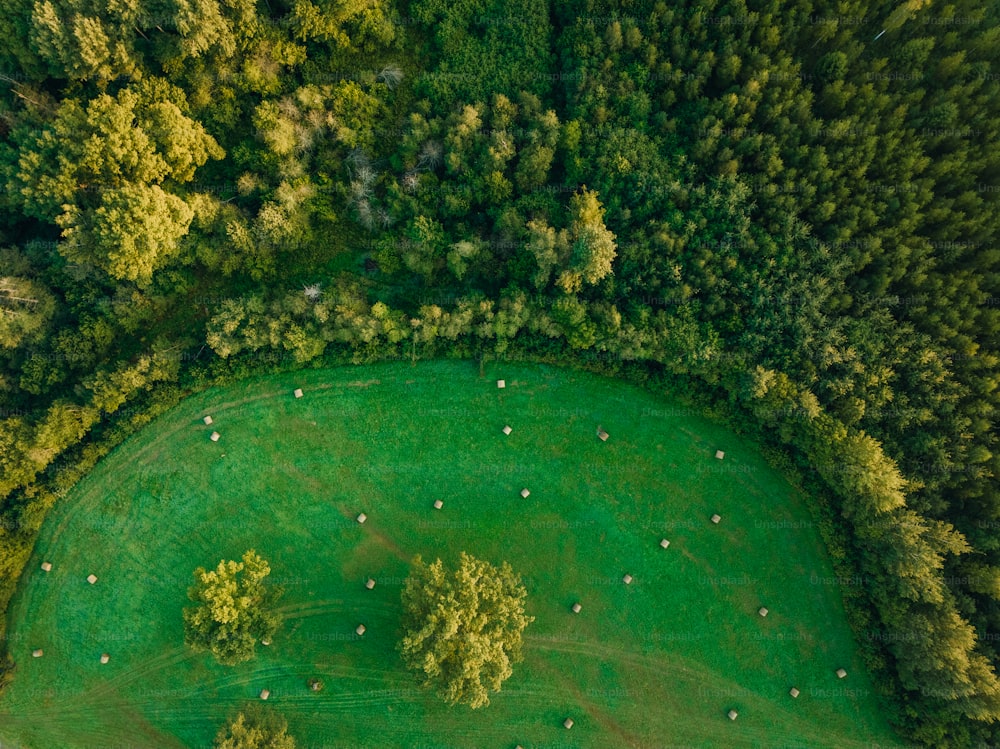 木々に囲まれたゴルフコースの空撮