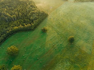 an aerial view of a green field with trees