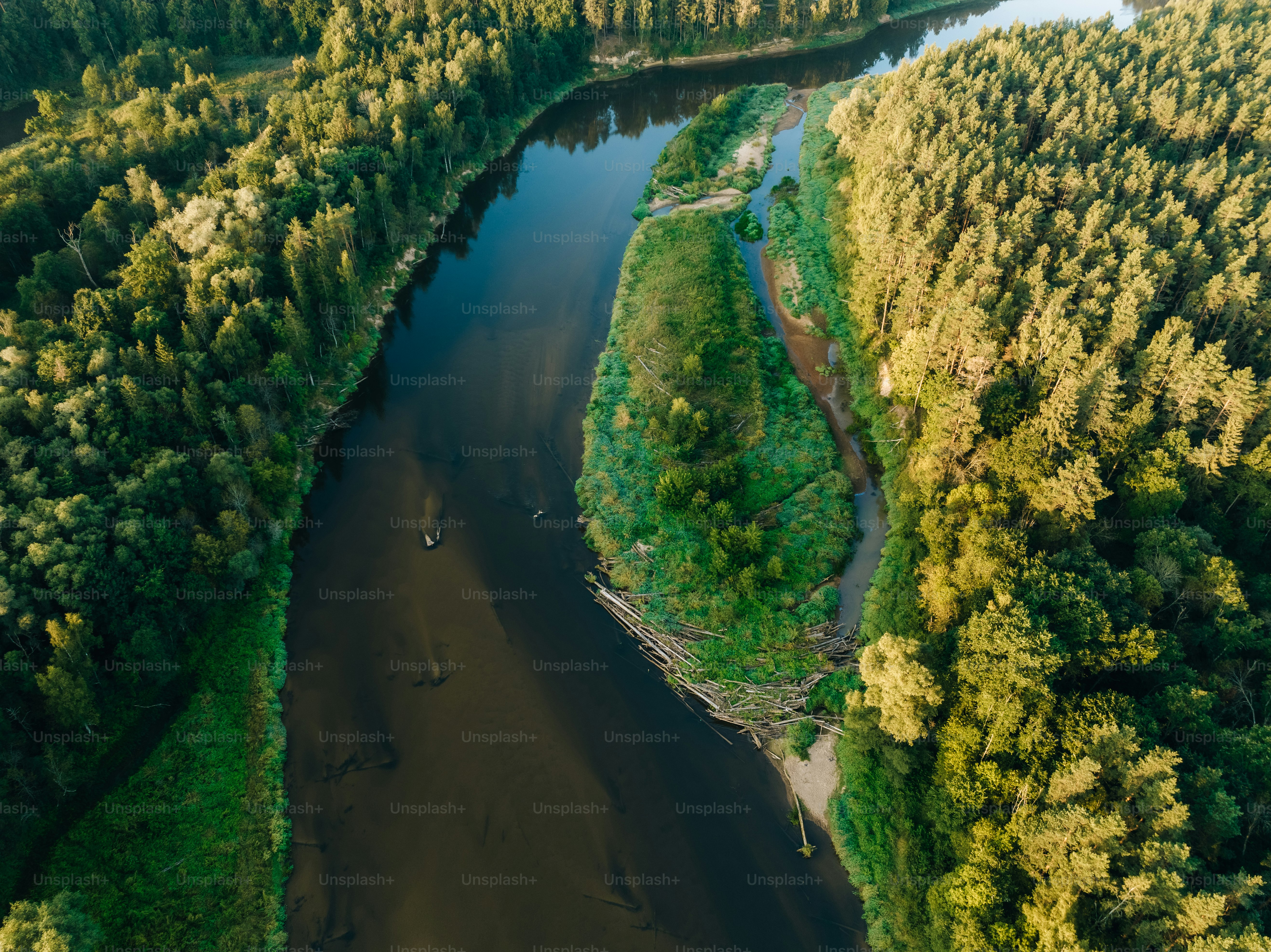 a river running through a lush green forest