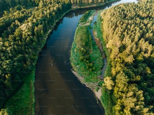 a river running through a lush green forest