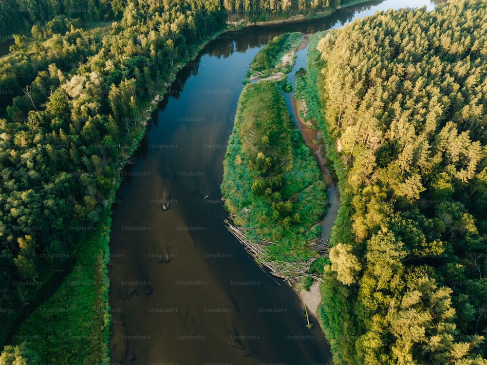 a river running through a lush green forest