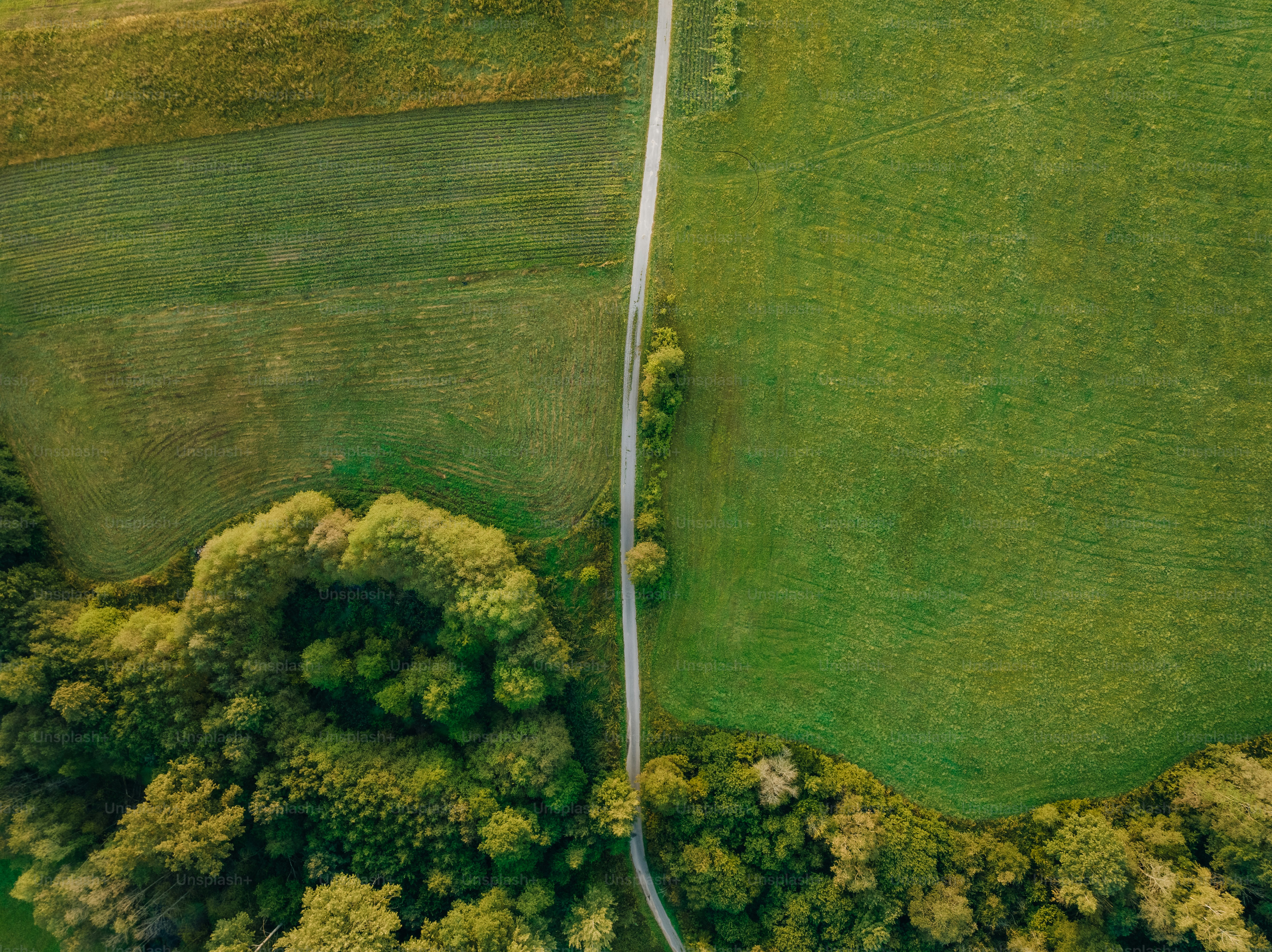 an aerial view of a road winding through a lush green field
