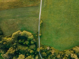 an aerial view of a road winding through a lush green field
