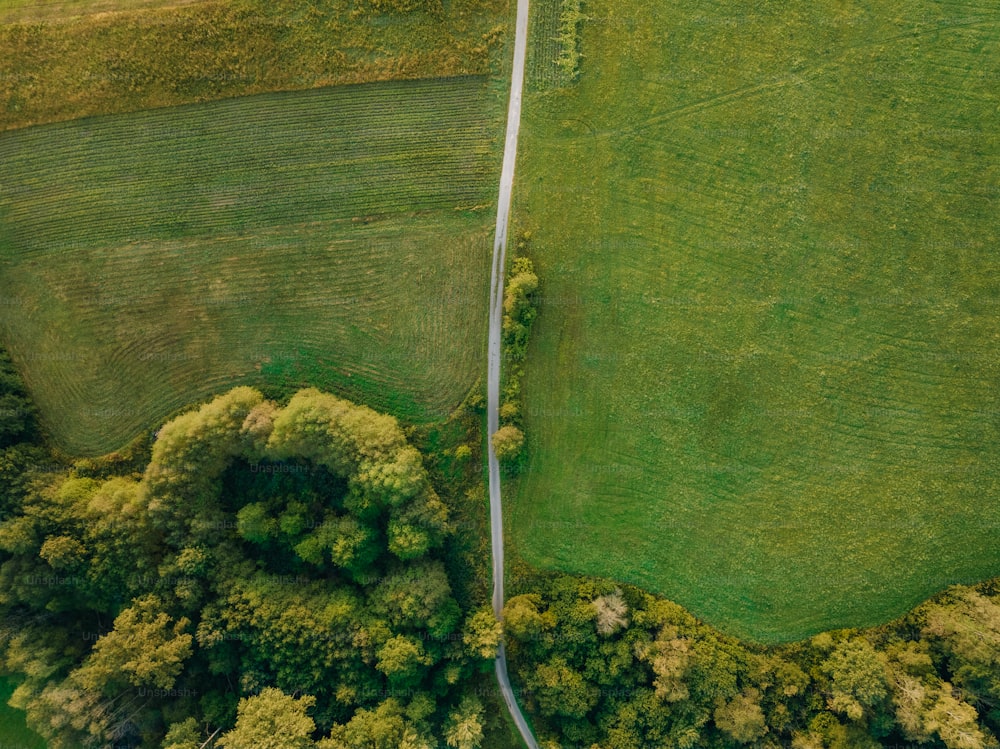 an aerial view of a road winding through a lush green field