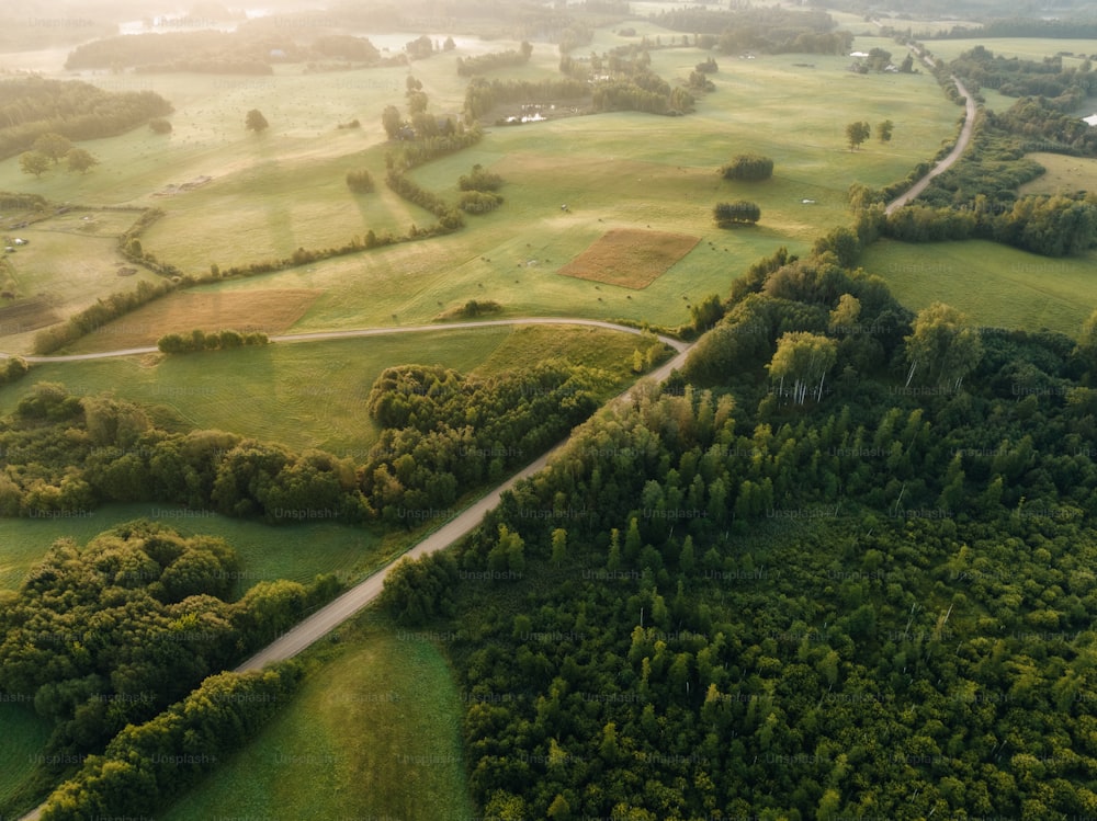 uma vista aérea de uma estrada que serpenteia através de um campo verde exuberante