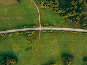 an aerial view of a road in the middle of a green field