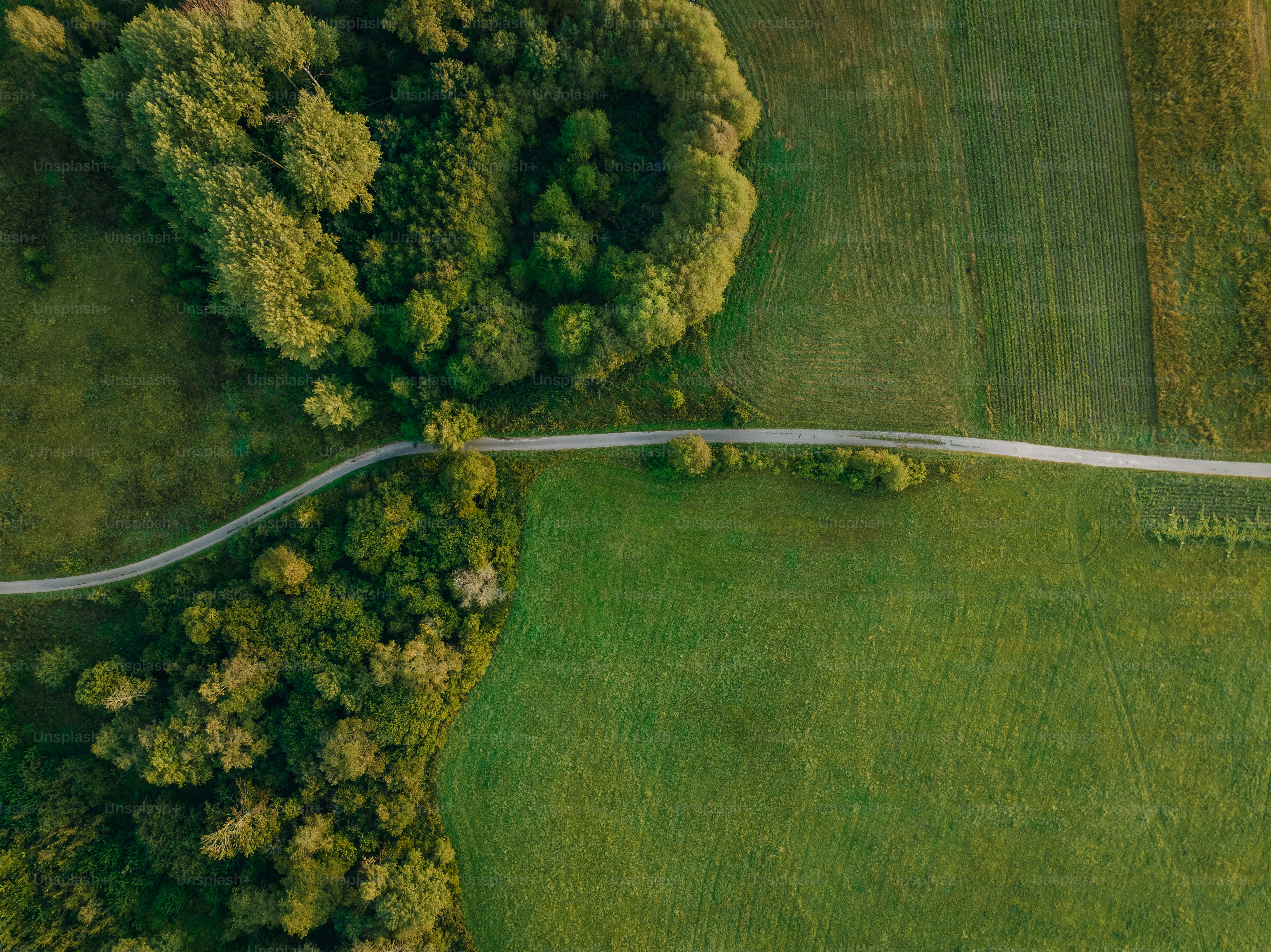 an aerial view of a winding road in the middle of a green field