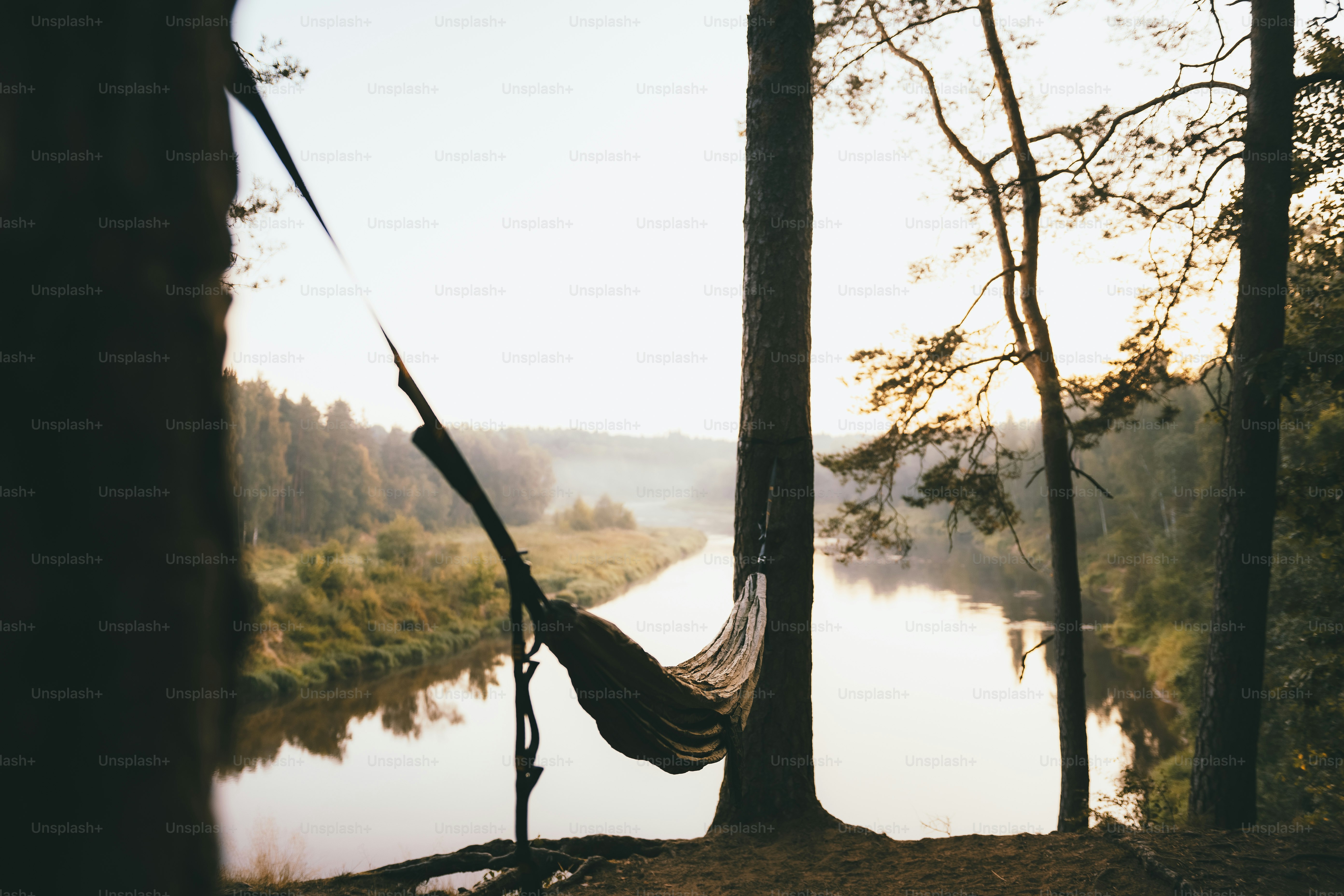 a hammock hanging from a tree next to a river