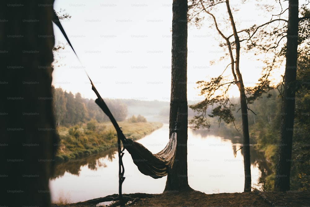 a hammock hanging from a tree next to a river
