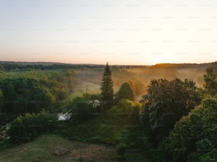 the sun is setting over the trees in the forest