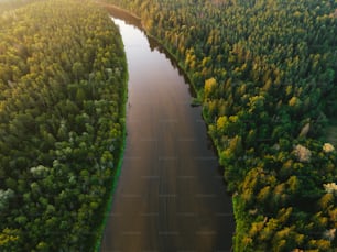 a river running through a lush green forest