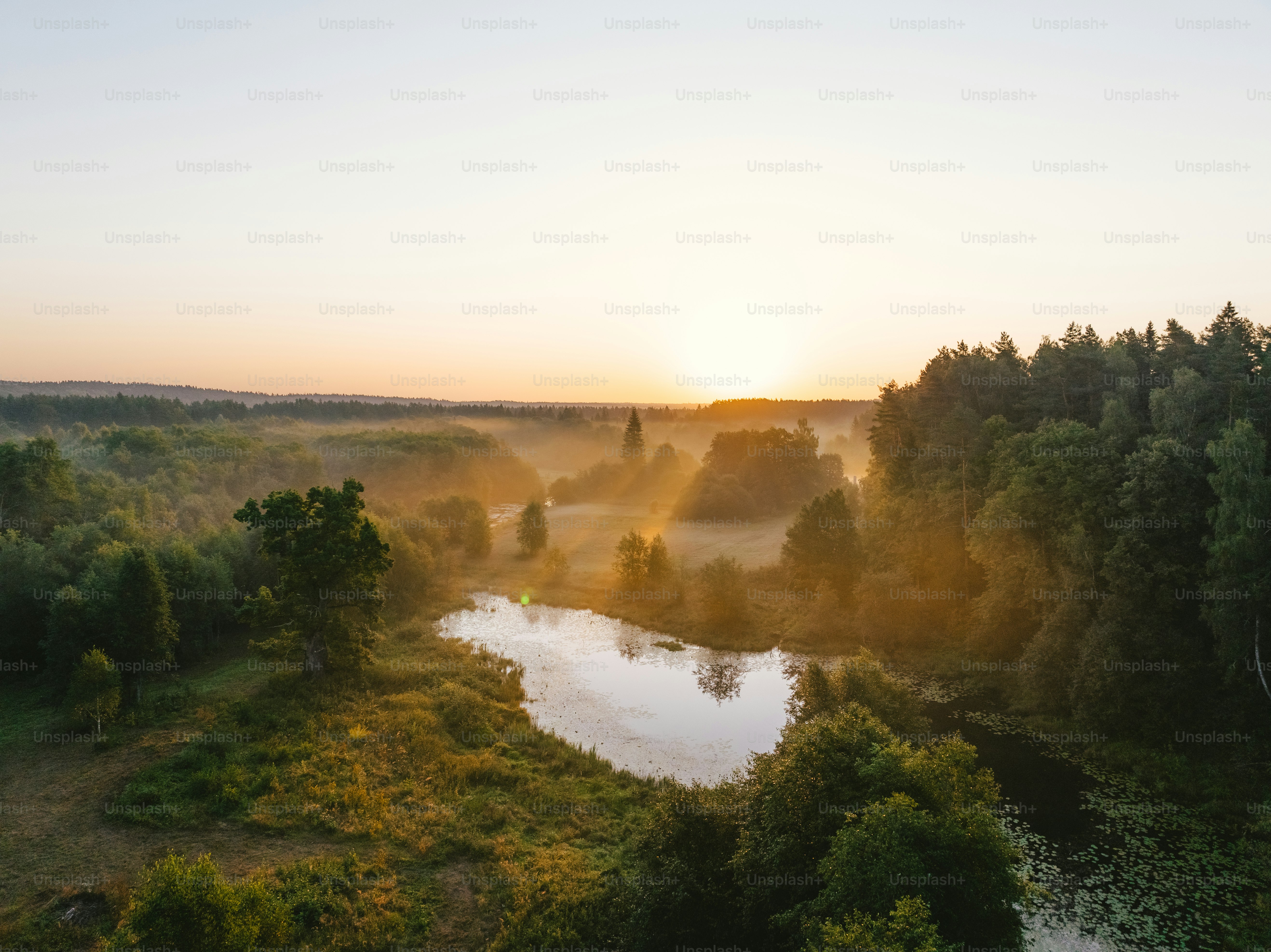 a river running through a lush green forest