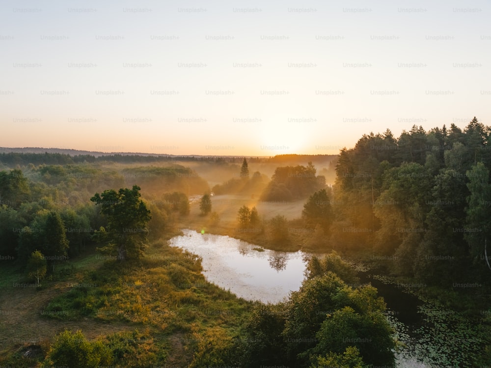 a river running through a lush green forest