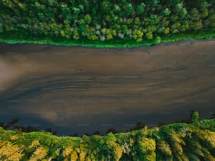 an aerial view of a lake surrounded by trees