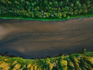 uma vista aérea de um lago cercado por árvores