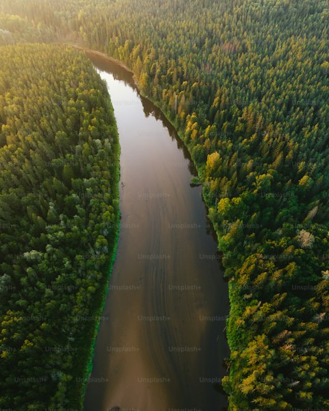 Longest Rivers in North America: The Mississippi, Missouri, and More