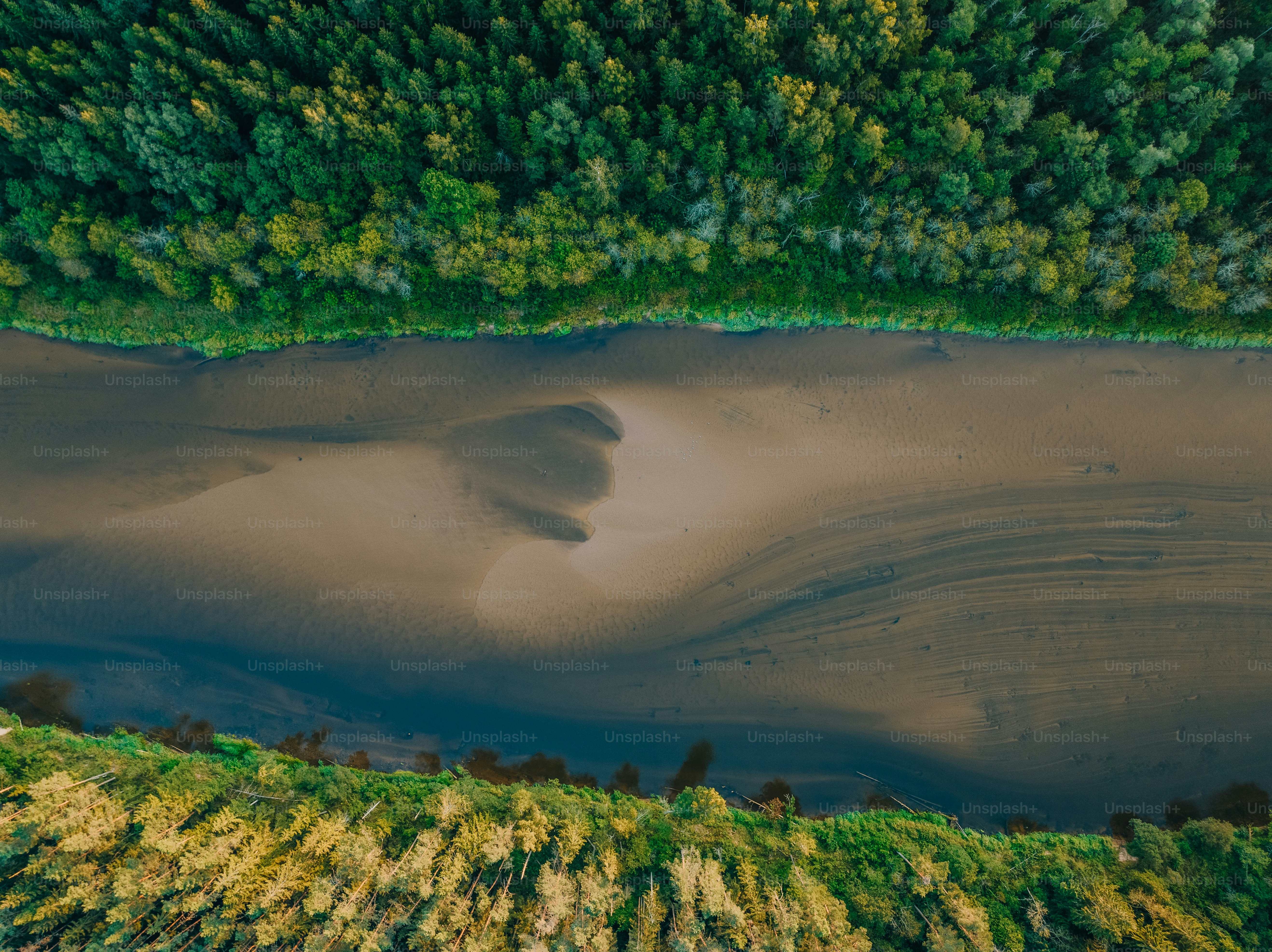 un grand plan d’eau entouré d’arbres