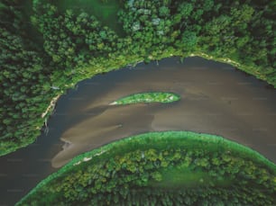 uma vista aérea de um rio que corre através de uma floresta verde exuberante